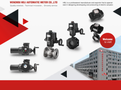 上装式电动偏心半球阀：合力自动化的创新之选